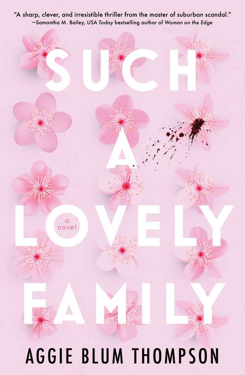 Book cover of Such a Lovely Family