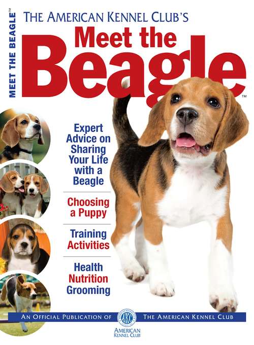 Book cover of Meet the Beagle