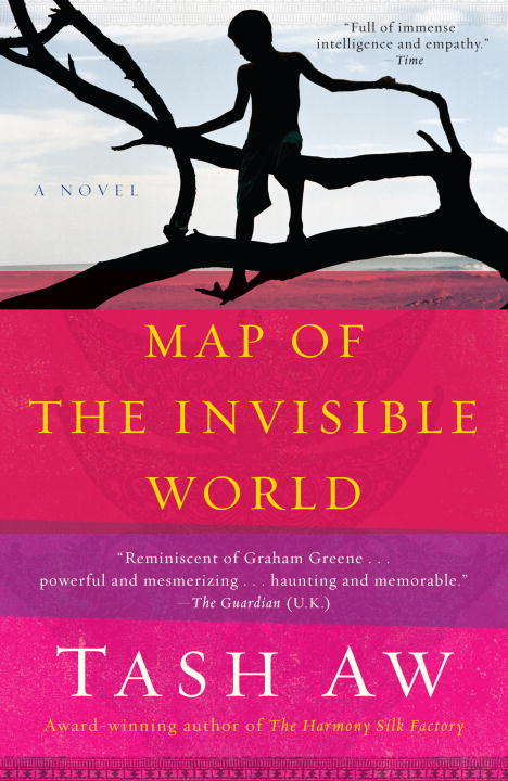 Book cover of Map of the Invisible World: A Novel