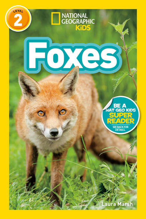 Book cover of Foxes (Readers)