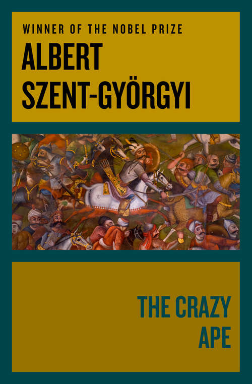 Book cover of The Crazy Ape