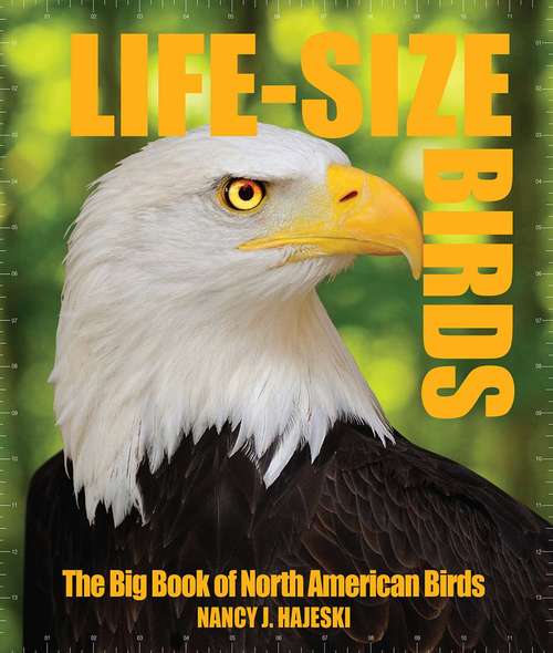 Book cover of Life-Size Birds: The Big Book of North American Birds