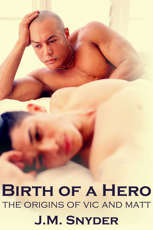 Book cover of Birth of a Hero Box Set