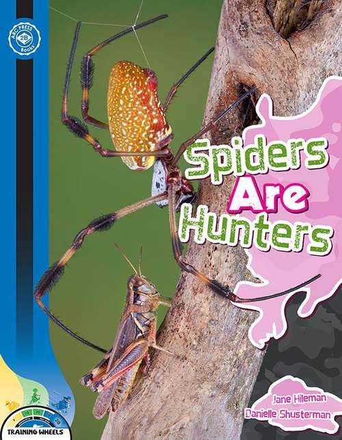 Book cover of Spiders Are Hunters (2b Wild Animals Series)