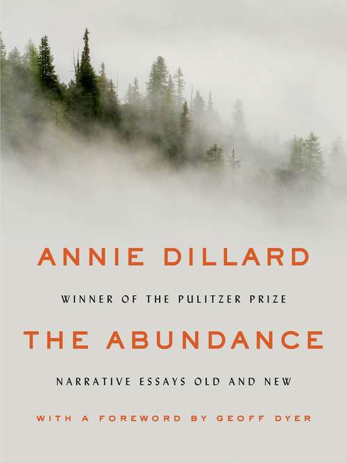 Book cover of The Abundance: Narrative Essays Old and New
