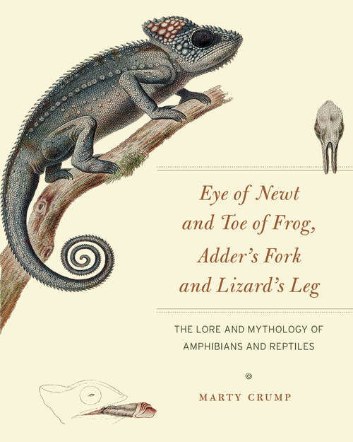 Book cover of Eye of Newt and Toe of Frog, Adder's Fork and Lizard's Leg: The Lore and Mythology of Amphibians and Reptiles