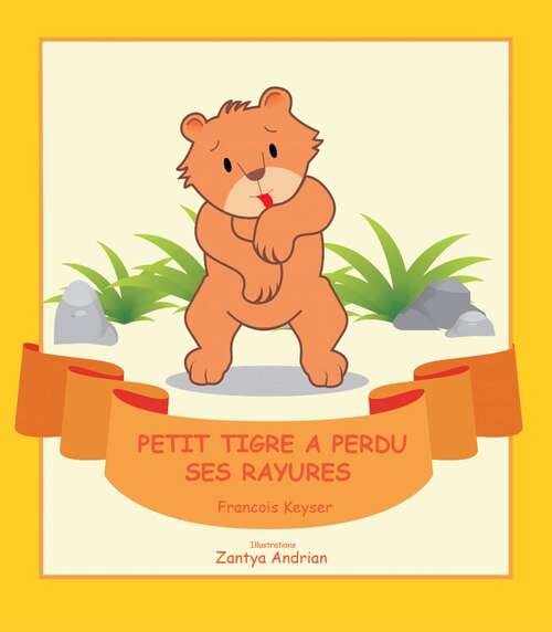 Book cover of Petit tigre a perdu ses rayures