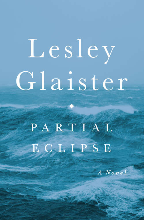 Book cover of Partial Eclipse