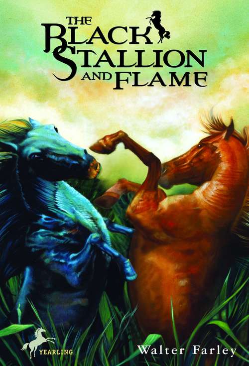 Book cover of The Black Stallion and Flame
