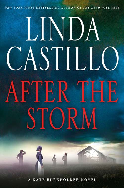 Book cover of After the Storm (Kate Burkholder #7)