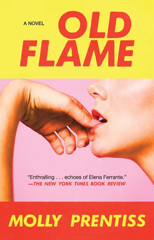 Book cover of Old Flame
