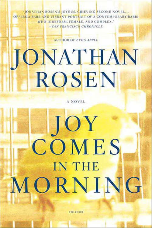 Book cover of Joy Comes in the Morning: A Novel