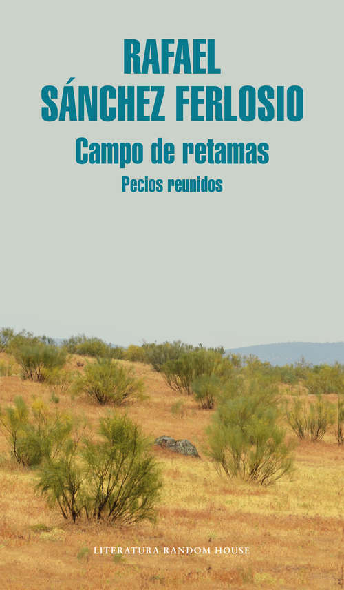 Book cover of Campo de retamas