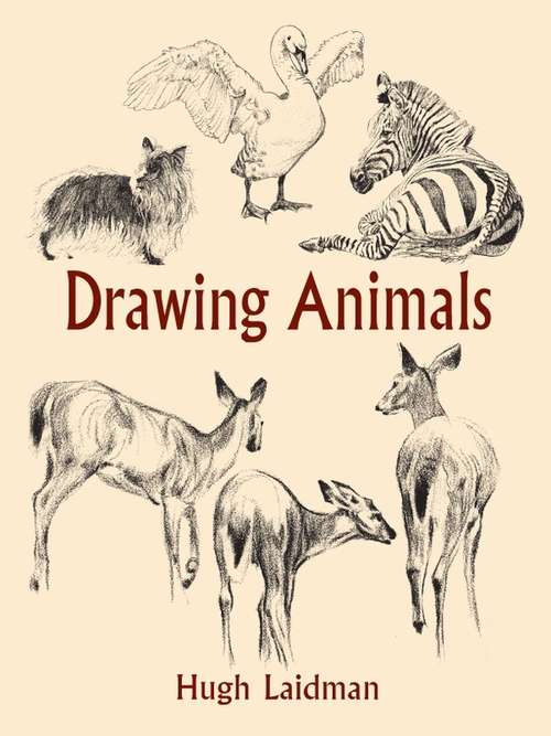 Book cover of Drawing Animals (Dover Art Instruction)