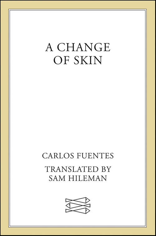 Book cover of A Change of Skin