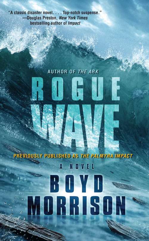 Book cover of Rogue Wave: A Novel