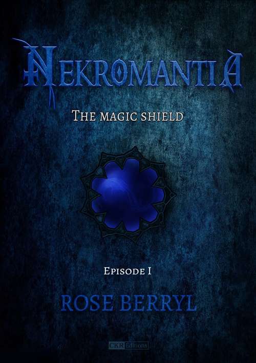 Book cover of The Magic Shield