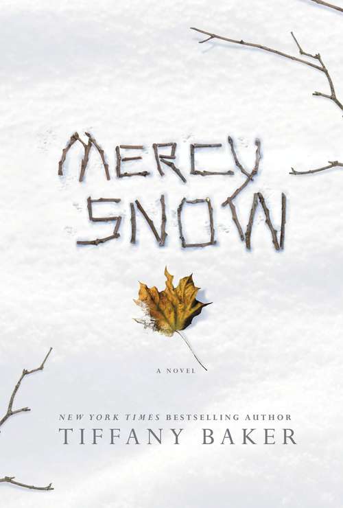 Book cover of Mercy Snow