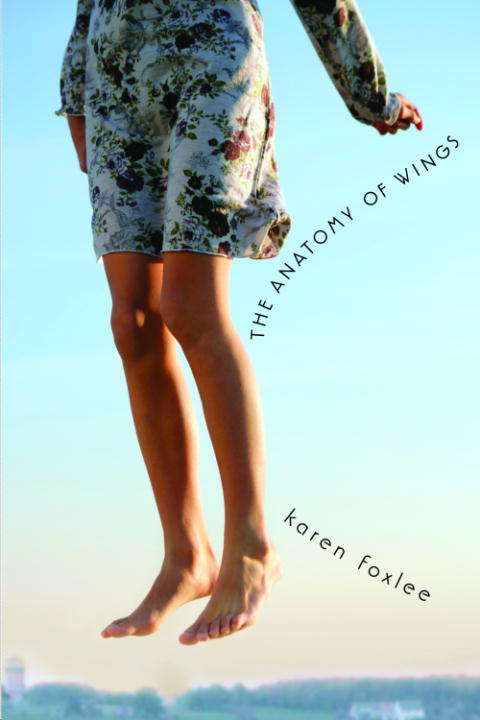 Book cover of The Anatomy Of Wings