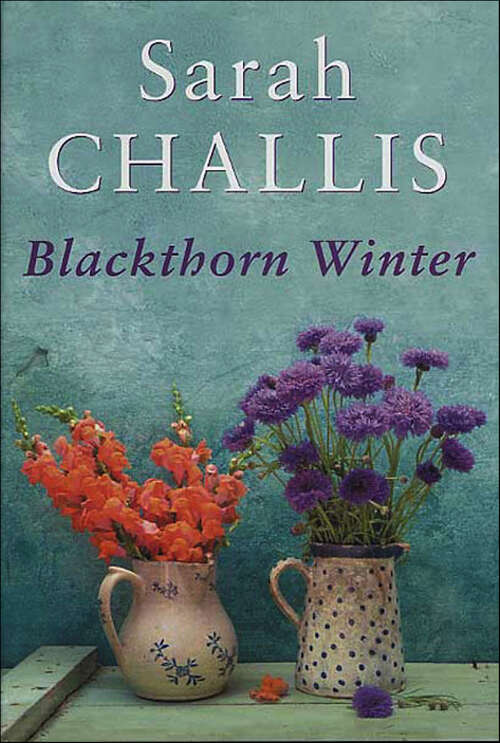 Book cover of Blackthorn Winter