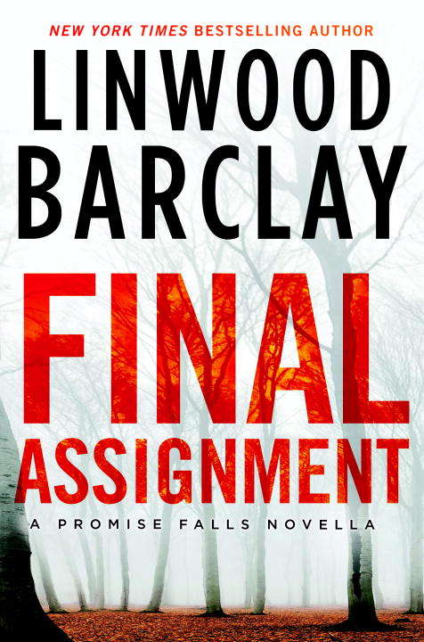 Book cover of Final Assignment: A Promise Falls Novella