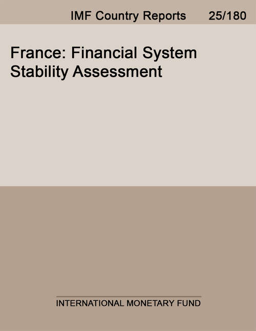 Book cover of France: Financial System Stability Assessment