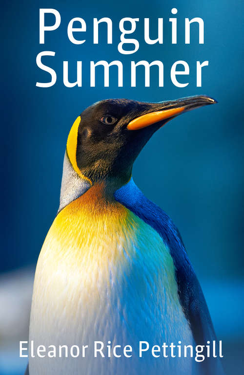 Book cover of Penguin Summer