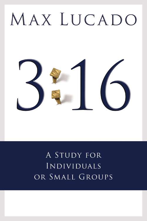Book cover of 3:16: A Study for Small Groups