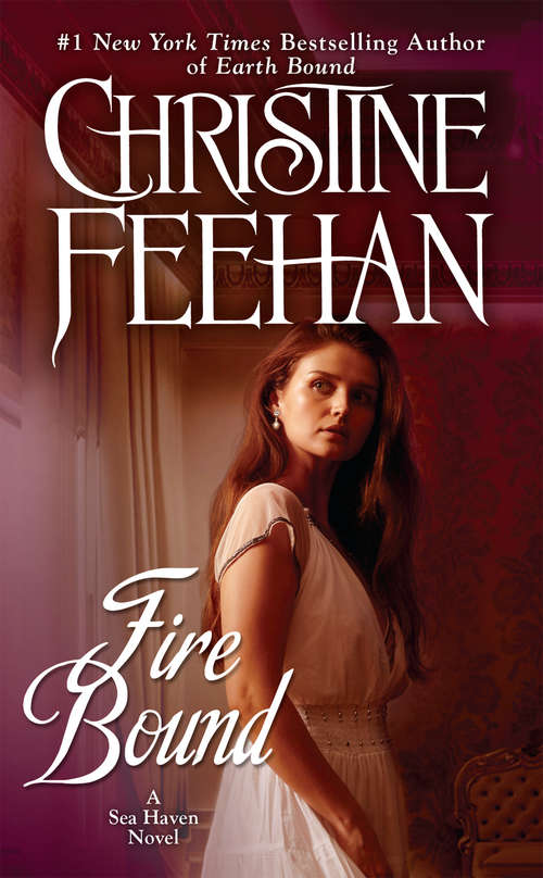 Book cover of Fire Bound