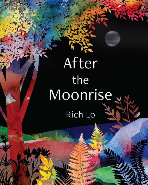 Book cover of After the Moonrise