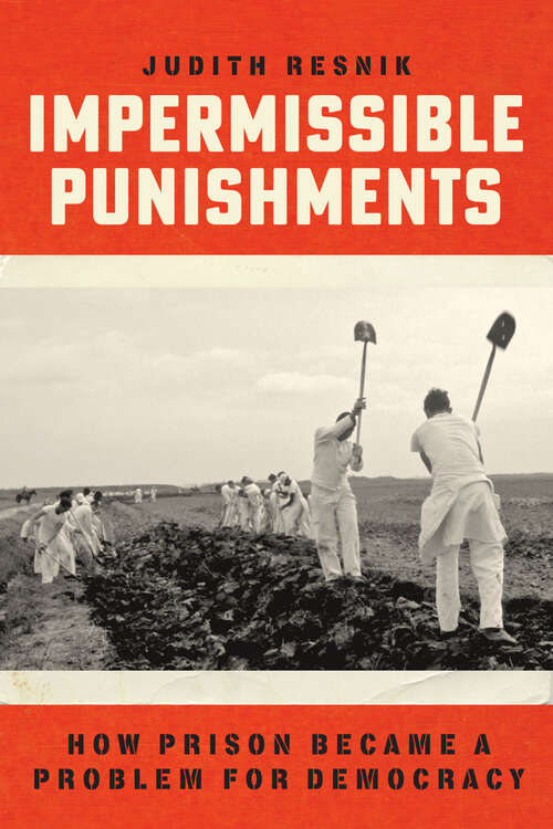 Book cover of Impermissible Punishments: How Prison Became a Problem for Democracy