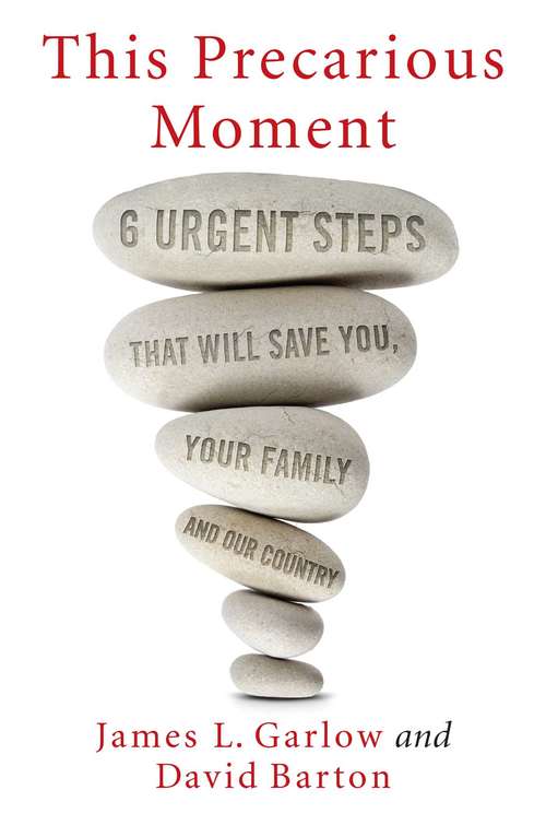 This Precarious Moment: Six Urgent Steps that Will Save You, Your Family, and Our Country