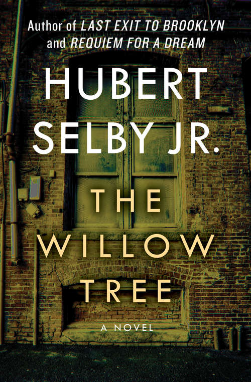 Book cover of The Willow Tree