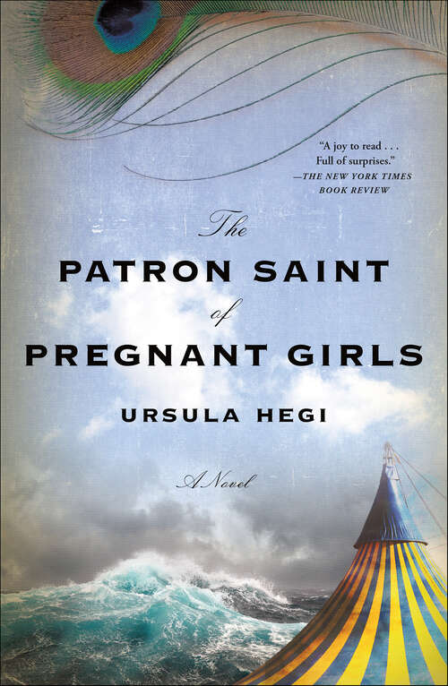Book cover of The Patron Saint of Pregnant Girls: A Novel