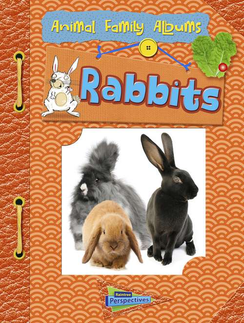 Book cover of Rabbits: Animal Family Albums (Animal Family Albums Ser.)