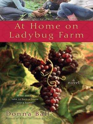 Book cover of At Home on Ladybug Farm