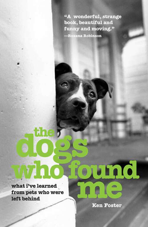 Book cover of The Dogs Who Found Me: What I've Learned from Pets Who Were Left Behind