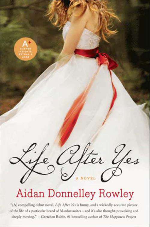 Book cover of Life After Yes: A Novel