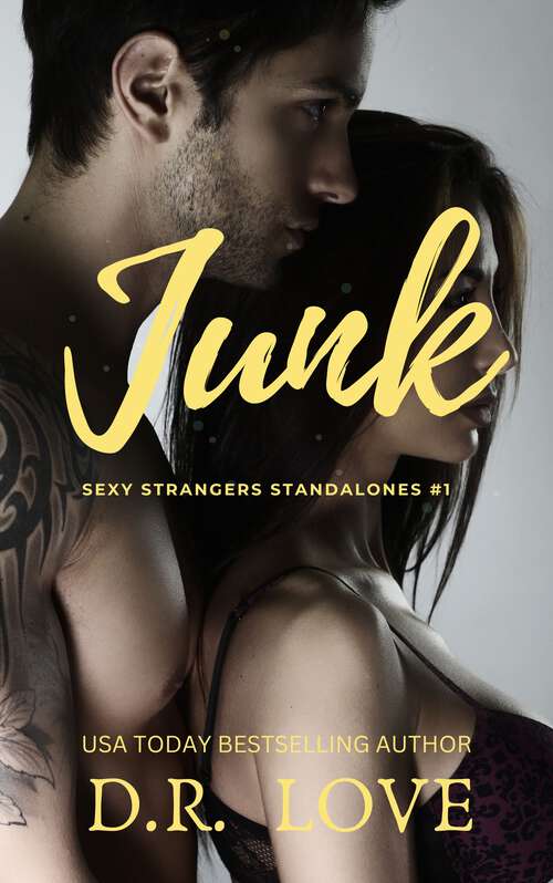 Book cover of Junk (Sexy Stranger Standalones #1)
