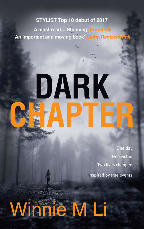 Book cover of Dark Chapter