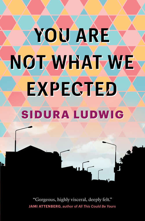 Book cover of You Are Not What We Expected