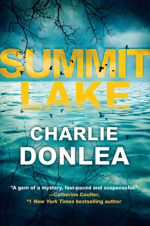 Book cover of Summit Lake