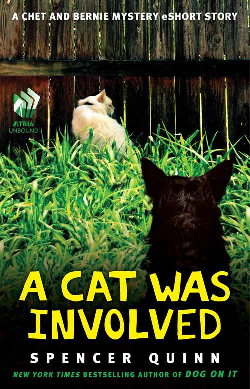 Book cover of A Cat Was Involved