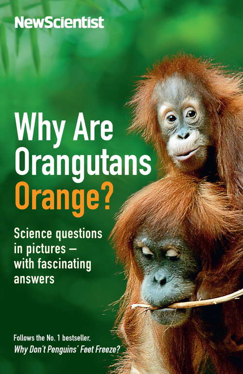 Why Are Orangutans Orange?: Science questions in pictures -- with fascinating answers