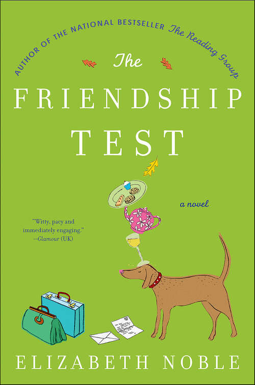 Book cover of The Friendship Test