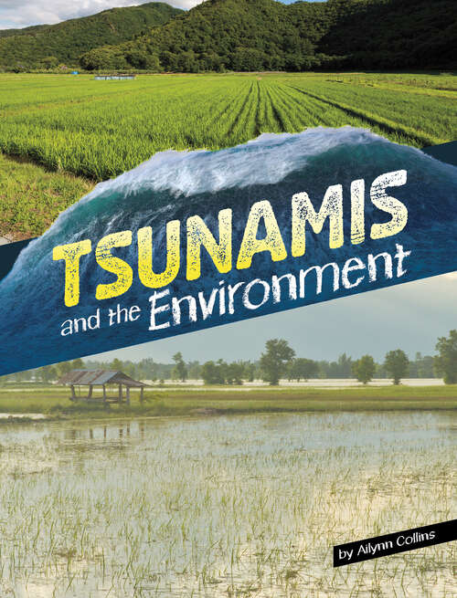 Book cover of Tsunamis and the Environment (Disasters And The Environment Ser.)