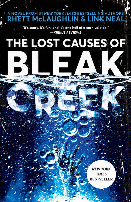 Book cover of The Lost Causes of Bleak Creek: A Novel