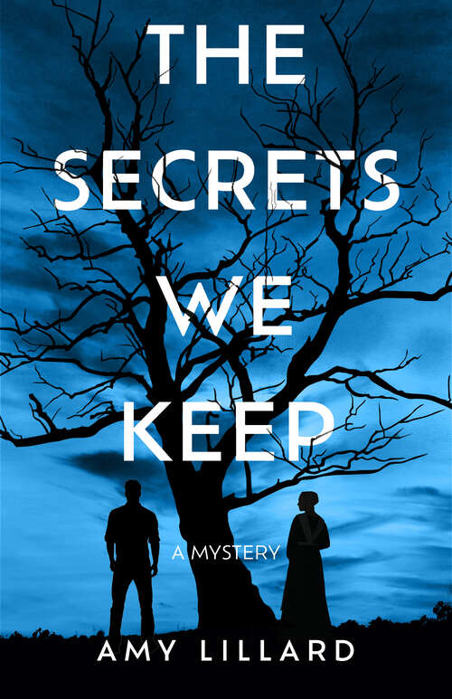 Book cover of The Secrets We Keep: A Mystery