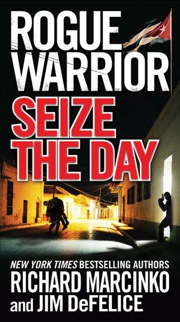 Seize the Day (Rogue Warrior #15)