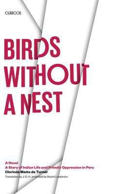 Book cover of Birds Without A Nest: A Novel